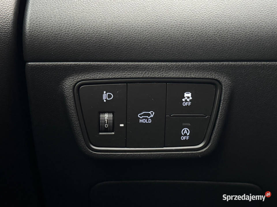 Salon Polska Autoryzowany dealer Executive VAT marża Kalisz sprzedam