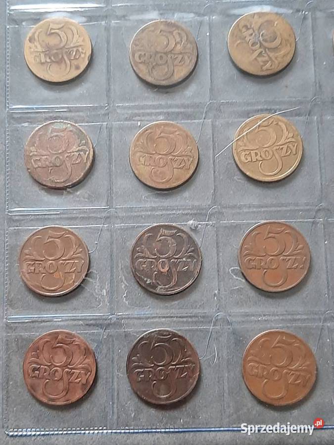 5 Groszy śląskie sprzedam