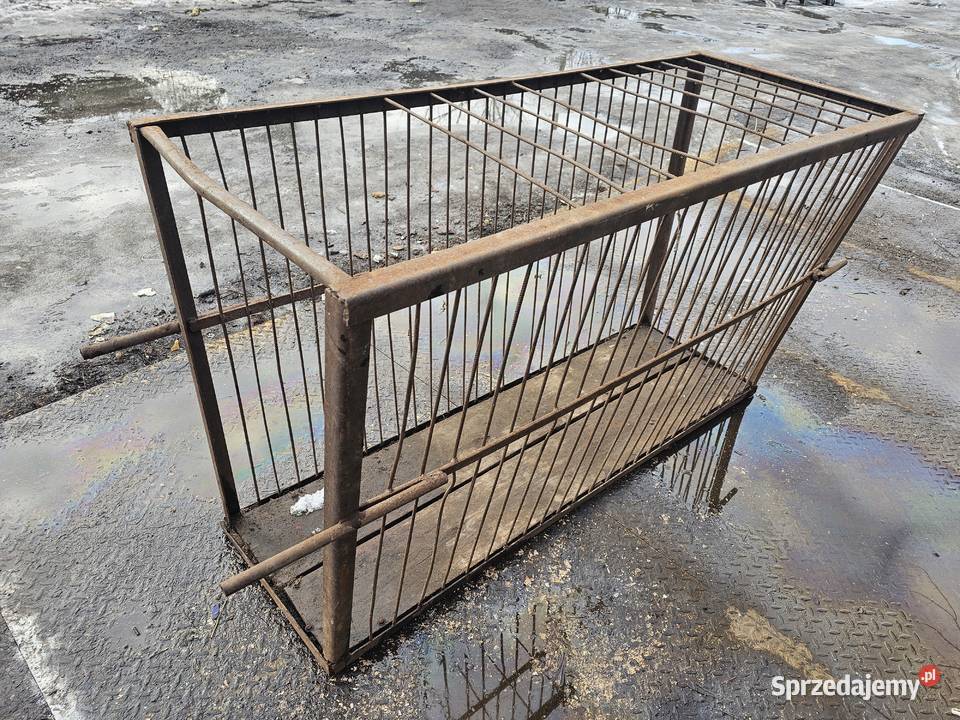 Klatka na świnie do transportu świń Drzewica sprzedam
