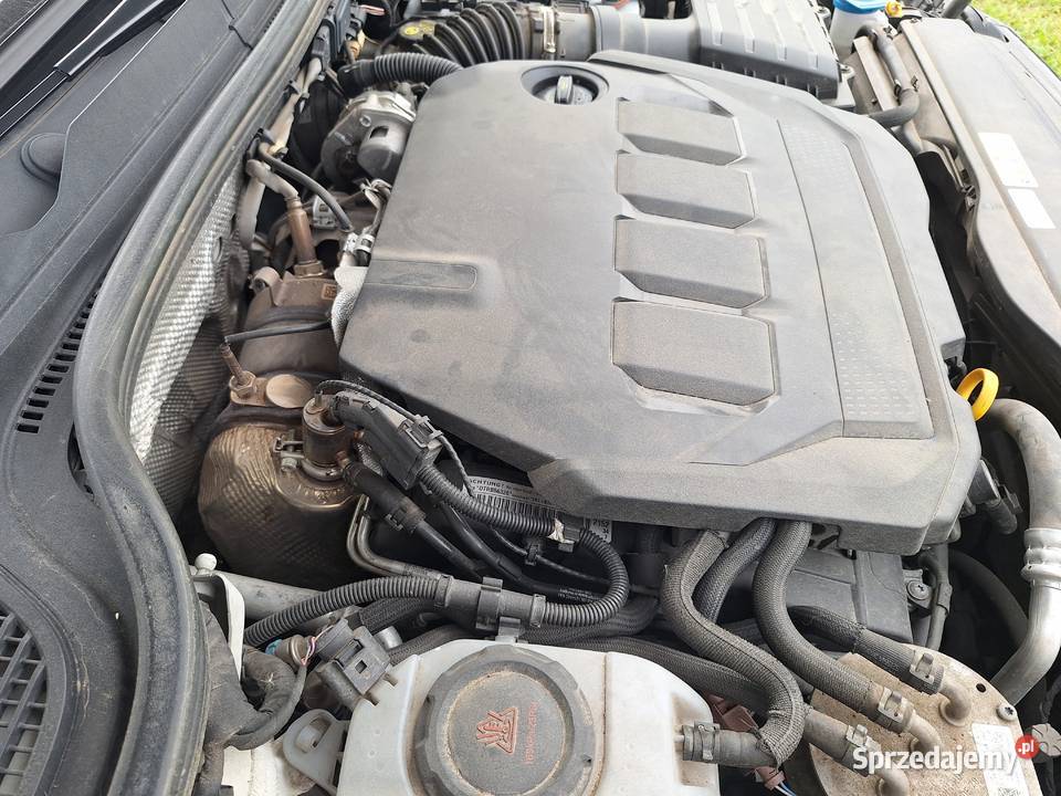 Sprzedam VW GOLF VIII salon polska 116KM podlaskie Bargłów Dworny