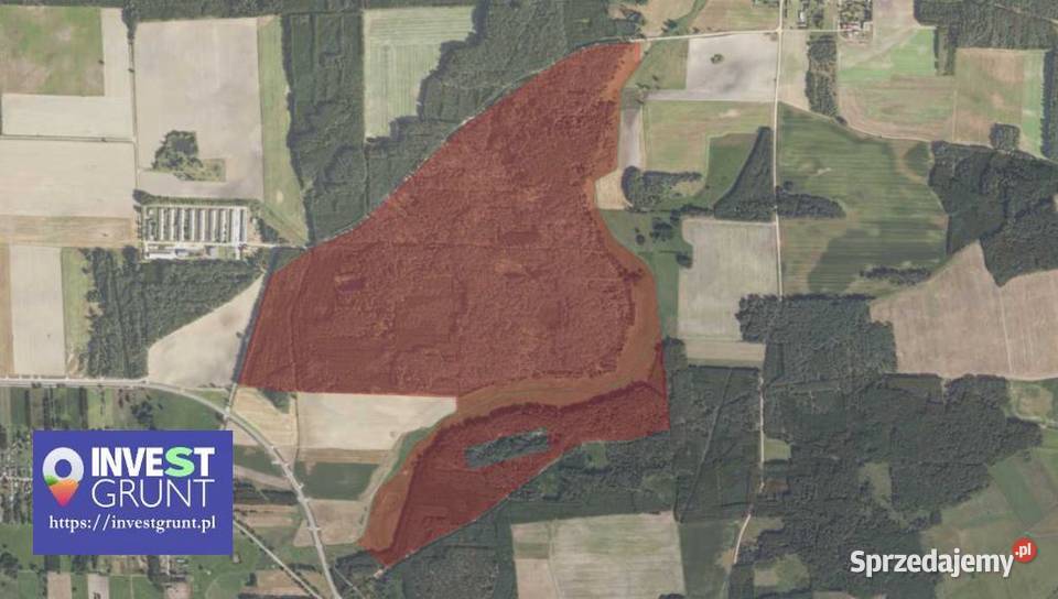 1556 ha przetarg na dzierżawę gruntów rolnych Trześcianka