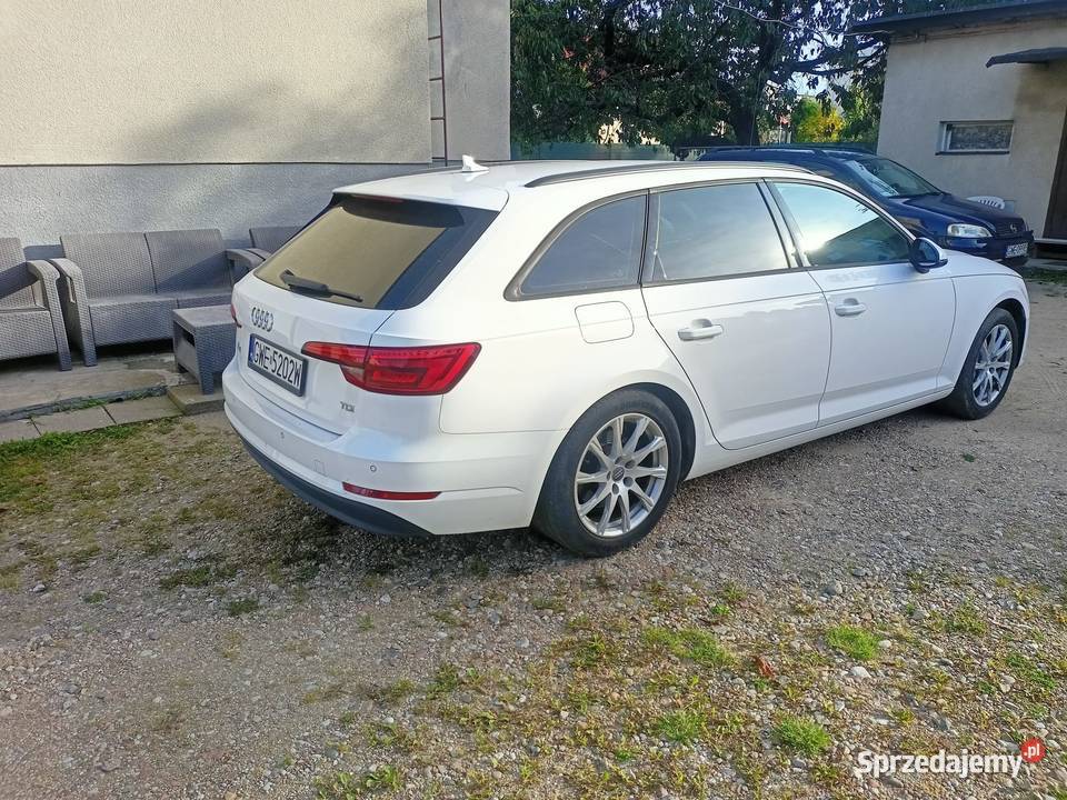 Audi a4B9 190KM Orle