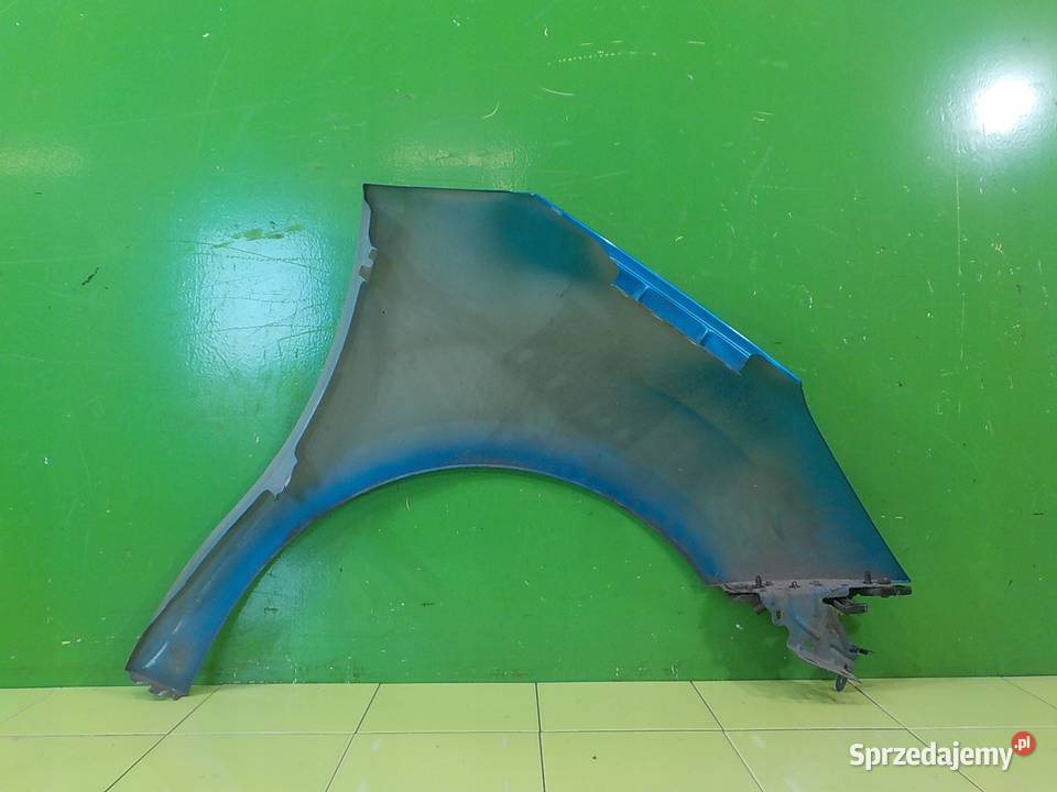 CITROEN C3 II 14 B 10r HB 5D blotnik lewy przod Suków