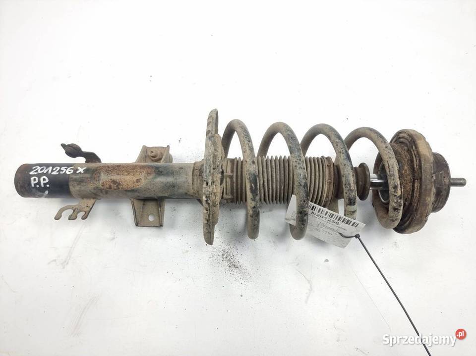 AMORTYZATOR PRAWY PRZÓD VOLKSWAGEN TRANSPORTER kujawsko-pomorskie Lipno