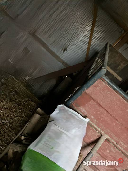 Przyczepka do transportu zwierząt dwukółka lubelskie Żółkiewka-Osada