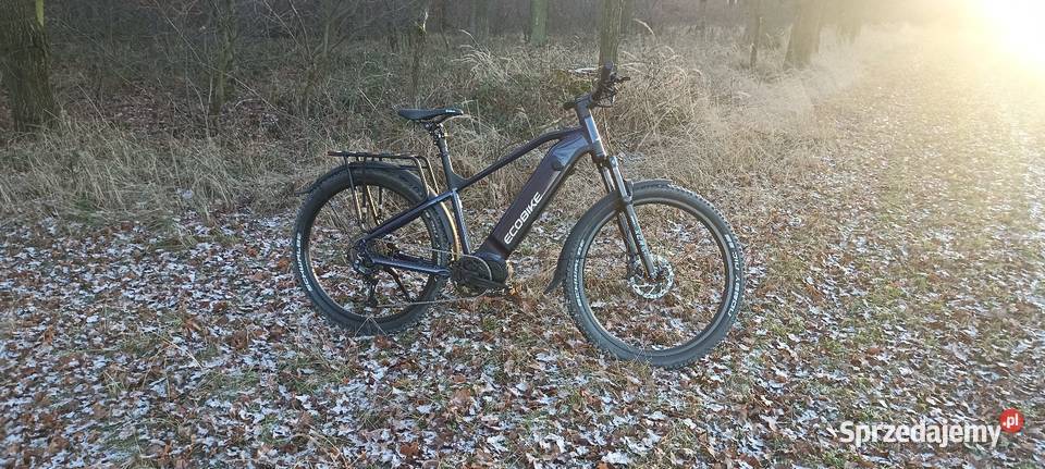 Rower Ecobike rx500suv Byczyna