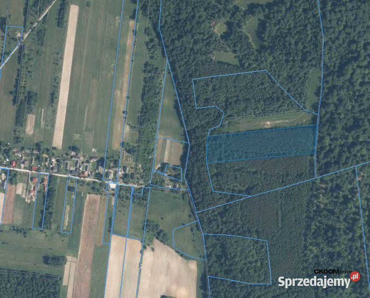 Działka inwestycyjna Cisów 22 500 m sprzedam