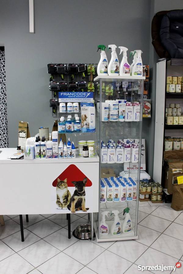 BURUNDUK WIEWIÓRKA SYBERYJSKA Tamias sibiricus Piła