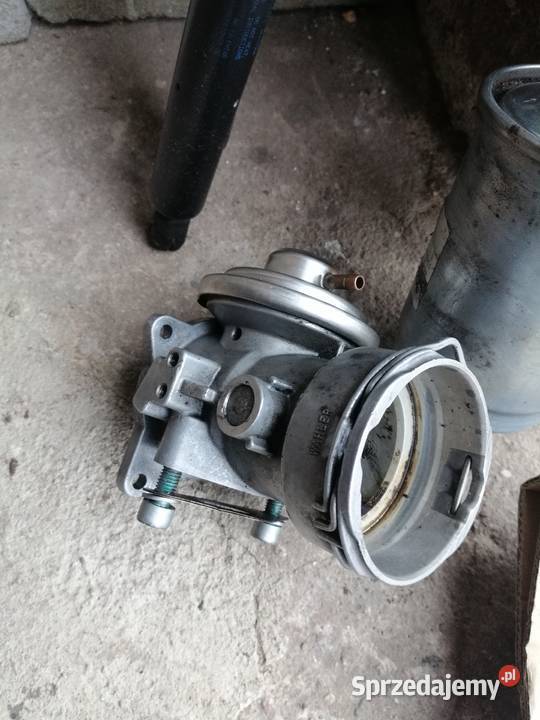 Volkswagen 19TDI zawór egr Serock