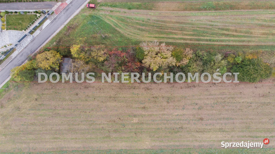 sprzedaży gruntu 4300 metrów Jeżów