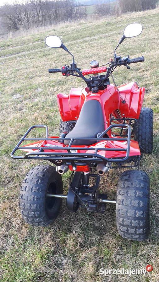 Quad 110 Junkrowy
