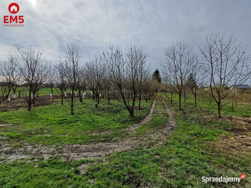 sprzedaży domu wolnostojącego Klepacze 9300m2 9300m2 podlaskie sprzedam