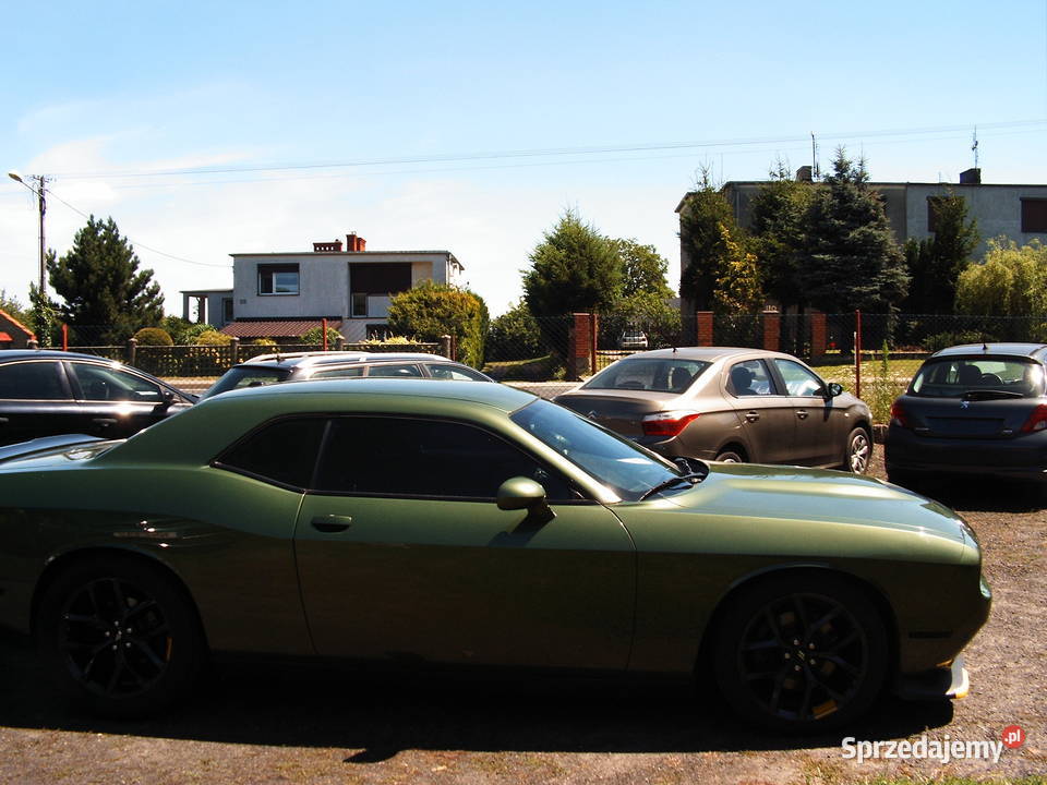 Dodge Challenger 36 GT 2019 r automat Challenger Września sprzedam