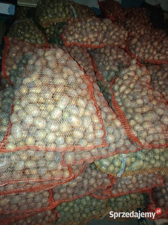 Sprzedam ziemniaki paszowe Pozostałe Miączyn sprzedam