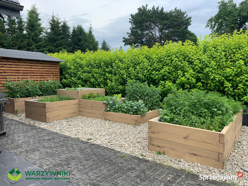 Warzywnik betonowy Ogród warzywny Paleta na mazowieckie Warszawa