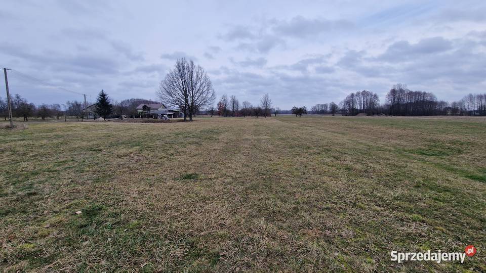 Sprzedam działkę 9243m2 Gąsocin 60 Warszawy Koźniewo Średnie