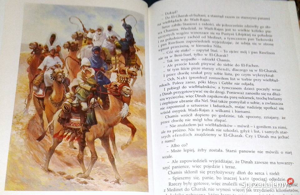 W pustyni i w puszczy Henryk Sienkiewicz lubelskie Chełm sprzedam