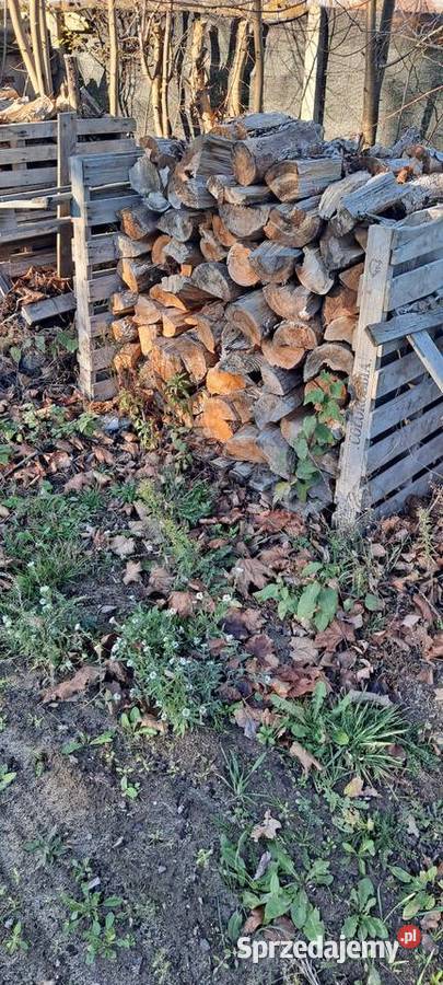 Sprzedam sosne 5 metr sucha 3 letnia Skronina