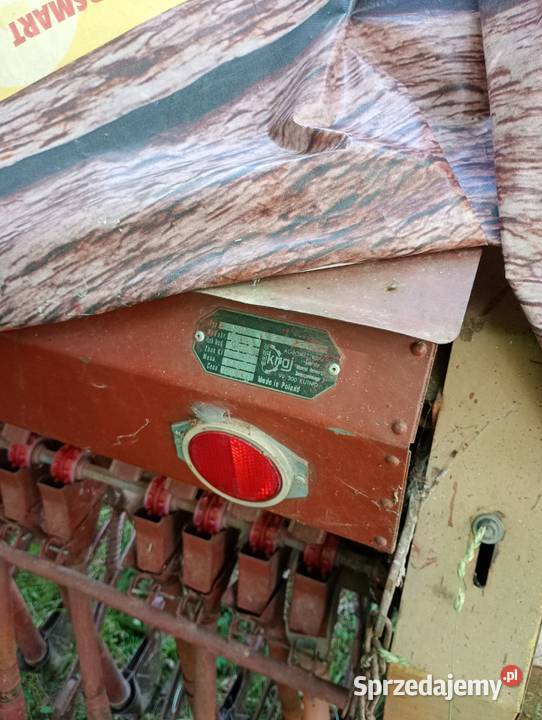 Siewnik poznaniak Wałbrzych