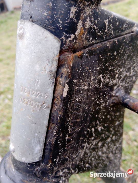 Rama WSK Sport Lelek Bąk gil kos Dudek wielkopolskie Władysławów