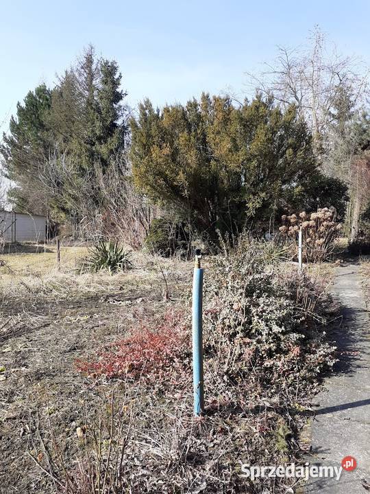 Działka ROD w Balicach rekreacyjna małopolskie