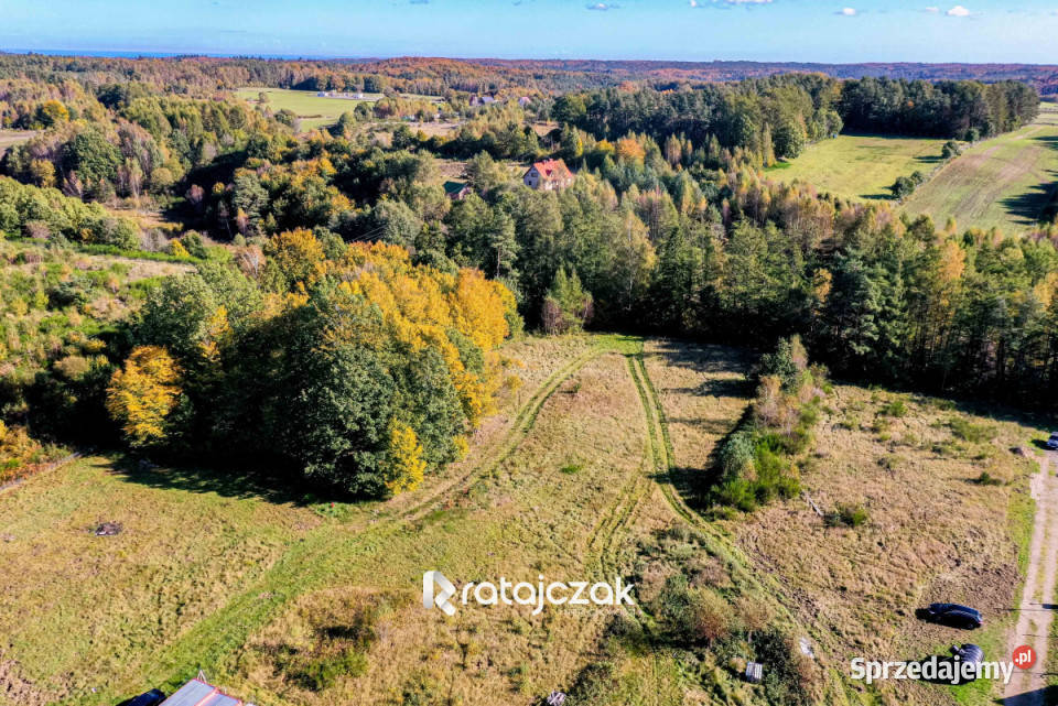 sprzedaży działki Zbychowo 8733m2 sprzedam