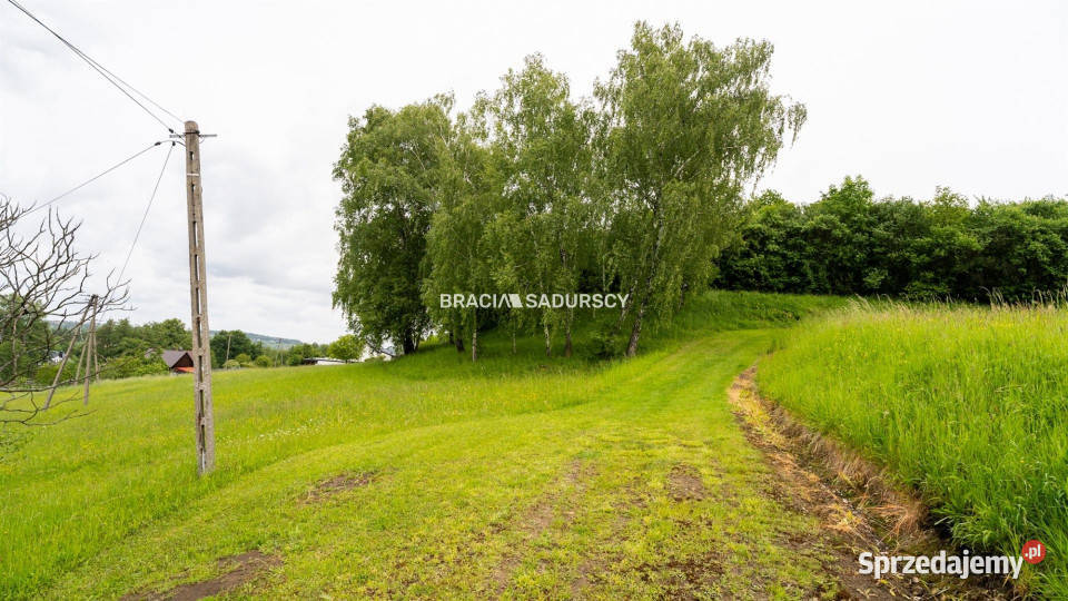 Działka 4700m2 Łazany