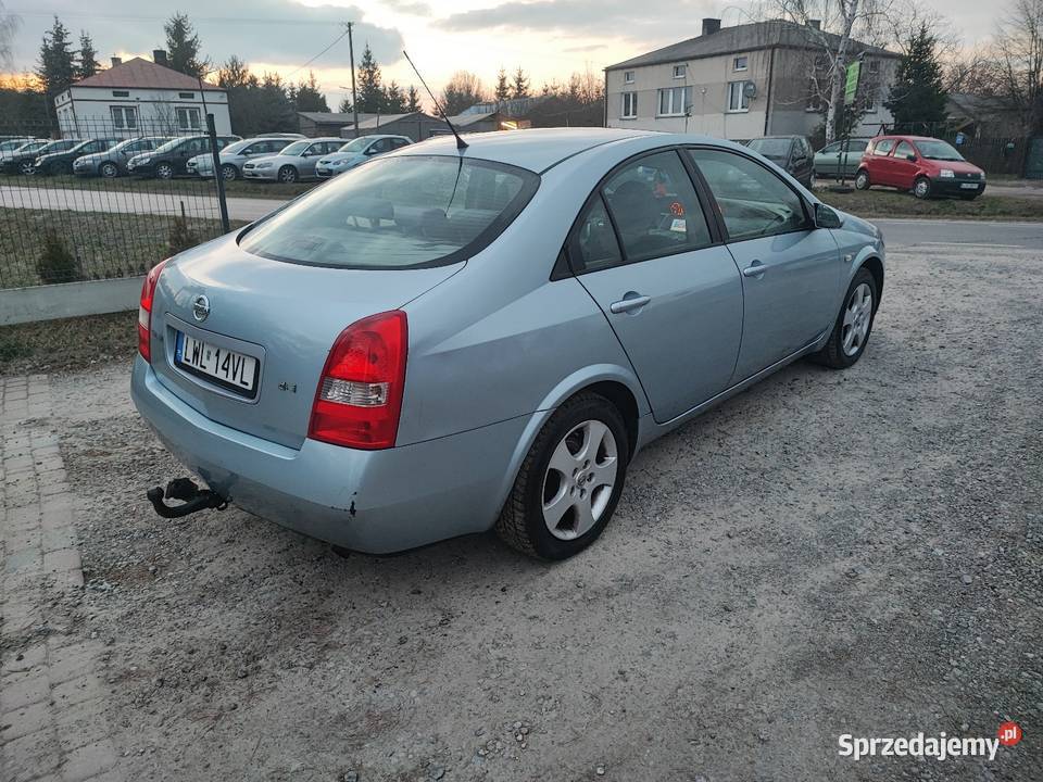 Nissan Primera P12 19 dCi Rok produkcji 2004 Kozłówka