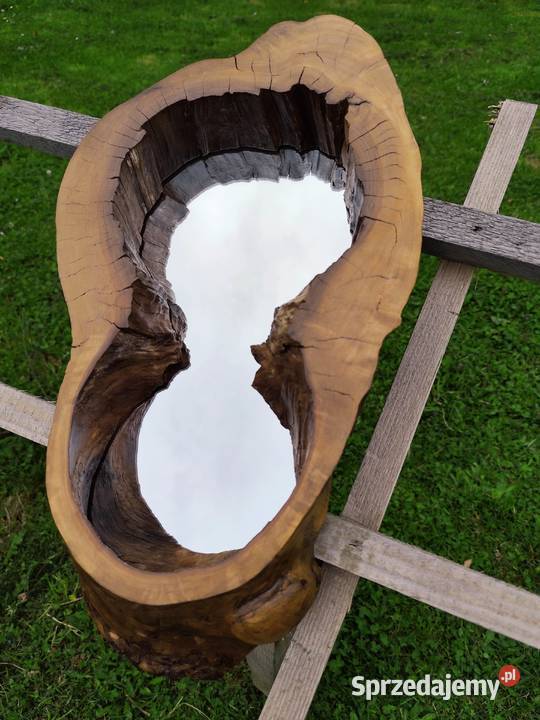 Lustro w pniu drzewa