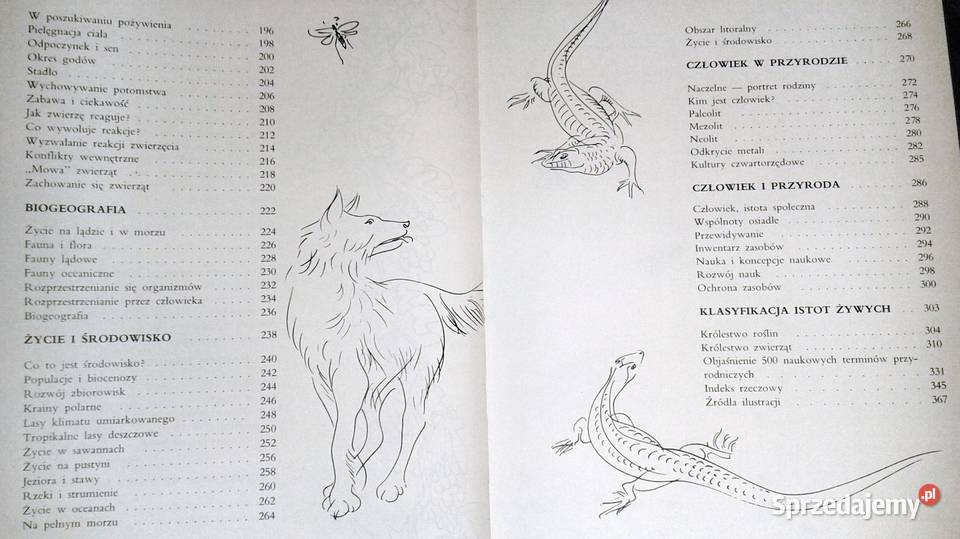 Ziemia rośliny zwierzęta praca zbiorowa Larousse Chełm