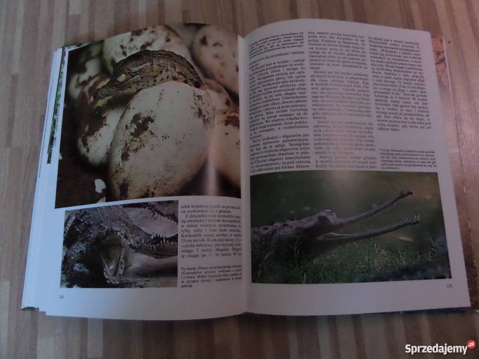 Ilustrowana encyklopediA Zwierząt Książki naukowe i popularnonaukowe Wrocław