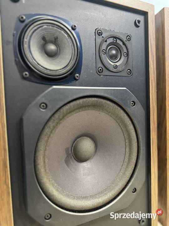 Kolumny głośnikowe Carnegle 60 Łapy