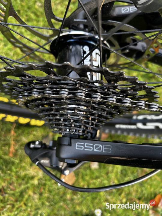 Yt capra Carbon Jaworzno