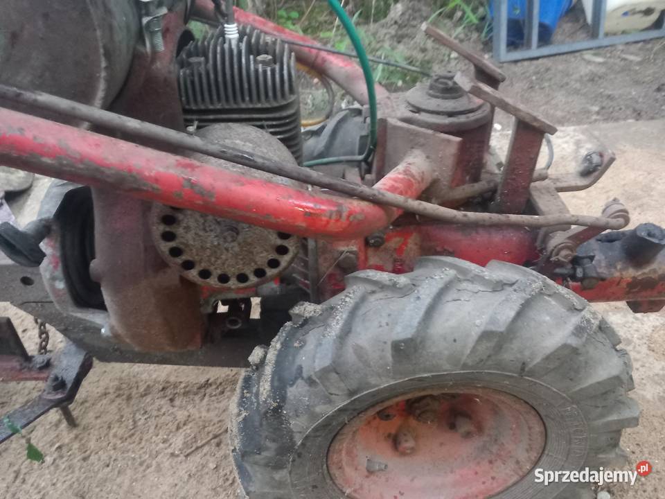 Sprzedam Traktor dzik TF 70 Morąg