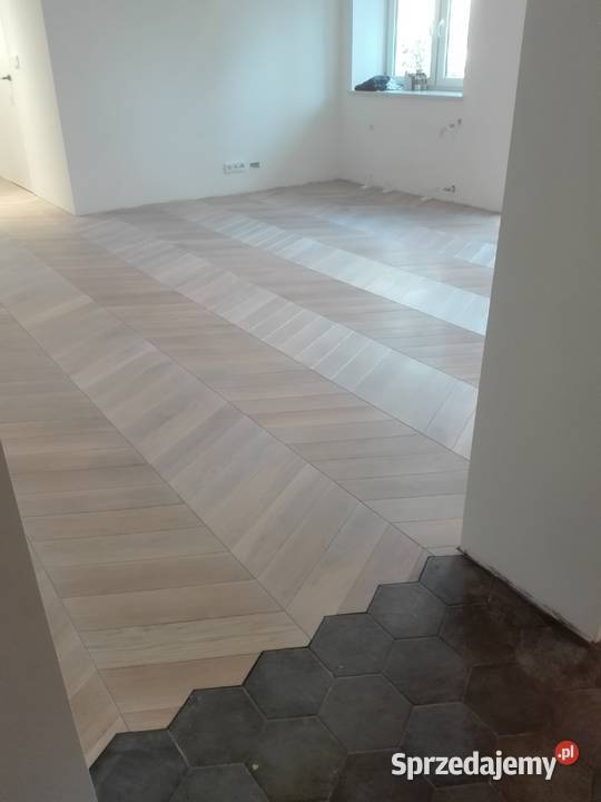 Jodła francuska producent wielkopolskie