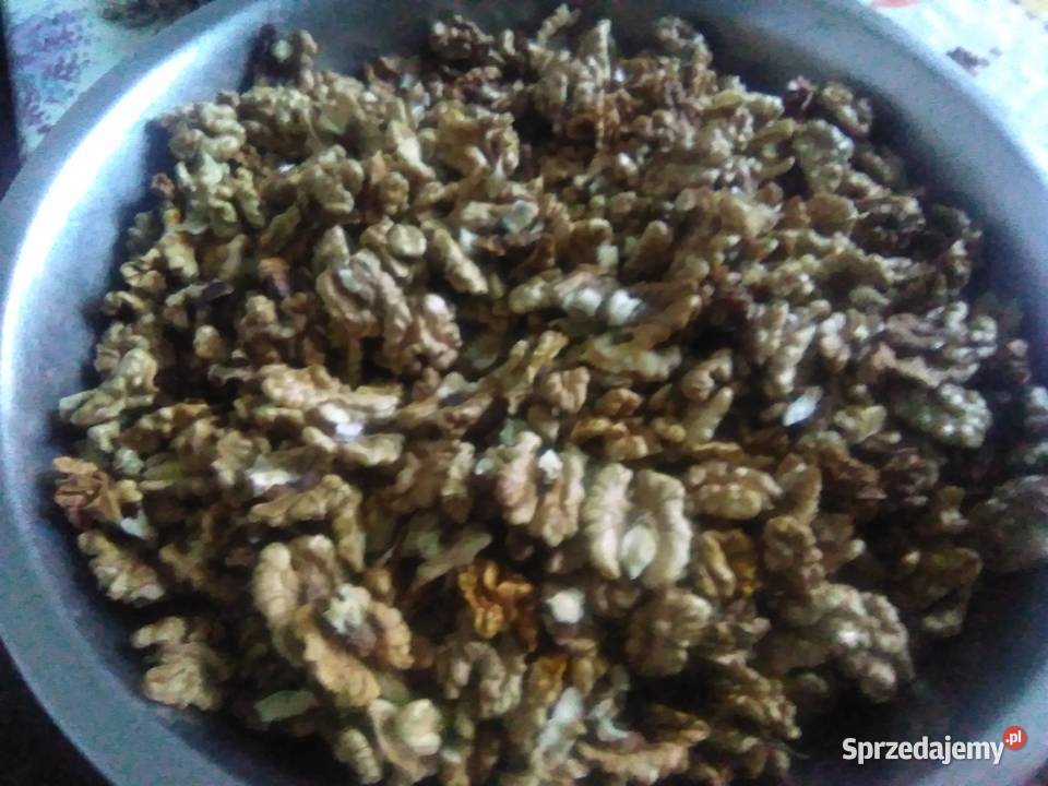 Orzechy włoskie EKOLOGICZNE Pozostałe Krzemienica