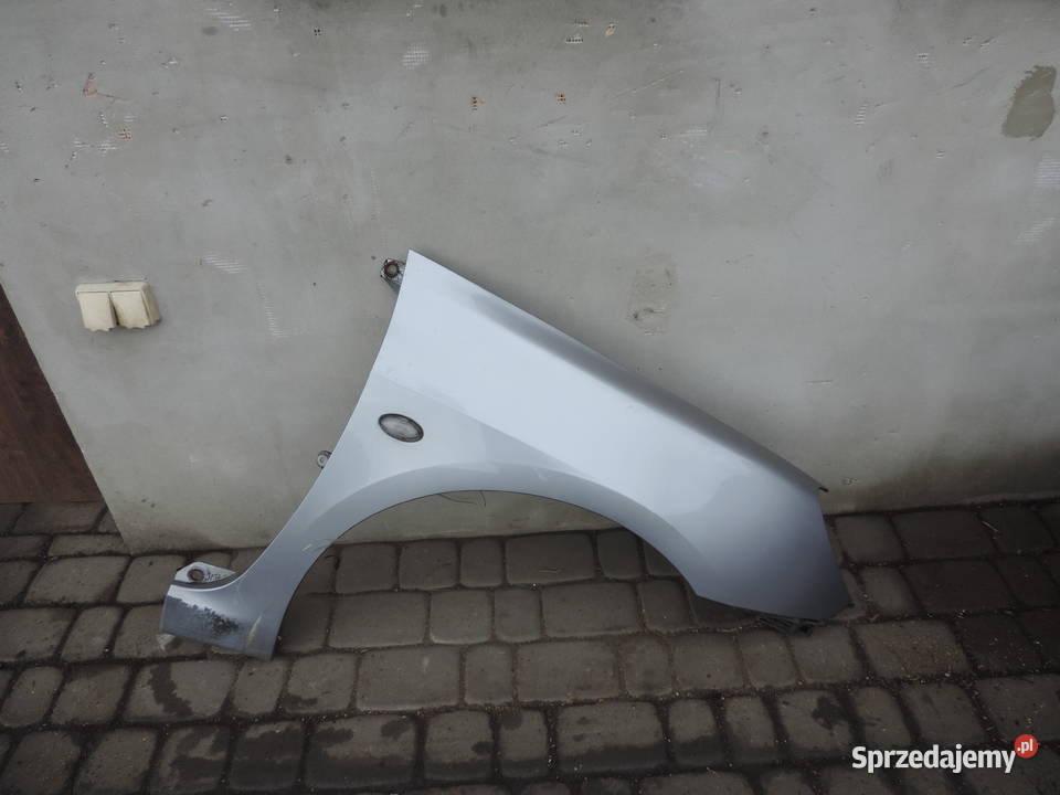 BŁOTNIK PRAWY PRZEDNI PEUGEOT 307 EZAC Błotniki