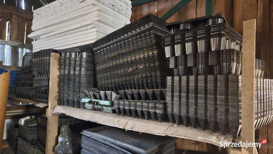 Tacki wysiewne multidoniczki palety wysiewne Szczebrzeszyn