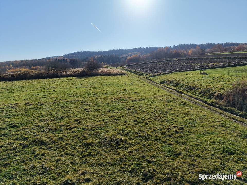 Działka z WZ Domaradz