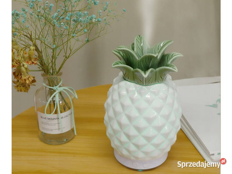 Nawilżacz powietrza ananas dyfuzor zapachowy śląskie Mikołów sprzedam