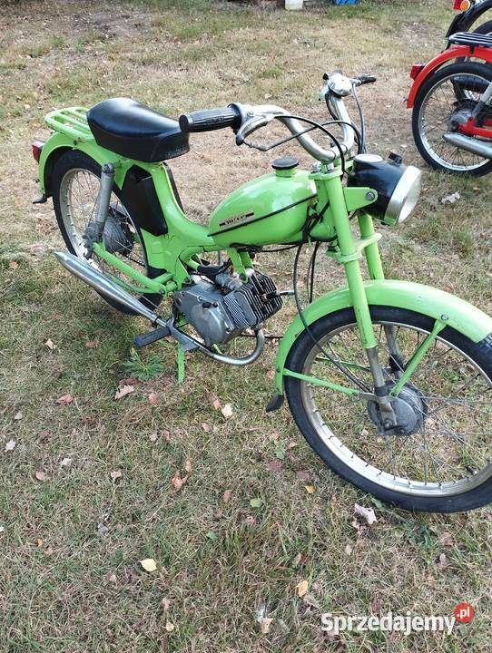 Komar zachowany w oryginalne 1980 Chojnice