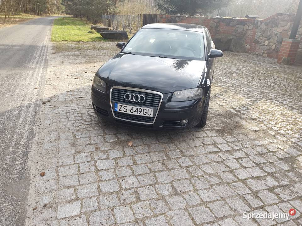Sprzedam Audi A3 Benzyna Rok produkcji 2004 Zielona Góra