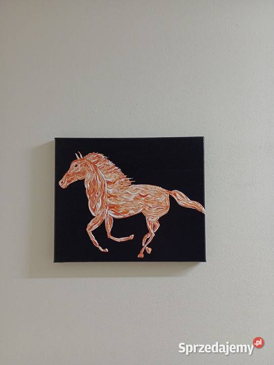 Obraz Akrylowy nowy ręcznie malowane Obrazki i obrazy Łódź