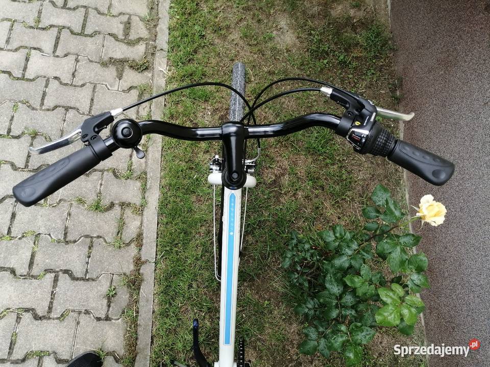 Rower Cossack Rounder nowa damka z Niemiec świętokrzyskie Bodzentyn