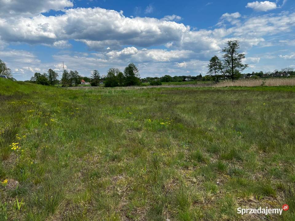 Działka z linią brzegową rzeki