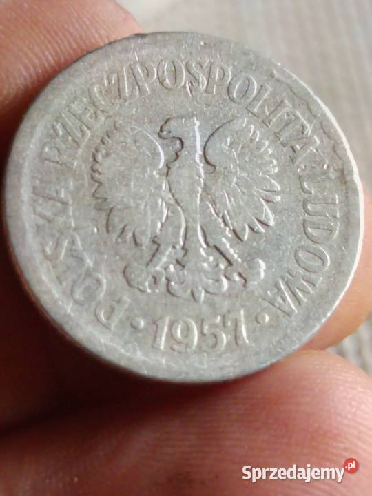 Sprzedam 1 zloty 1957 mmmmmm lubelskie Chełm