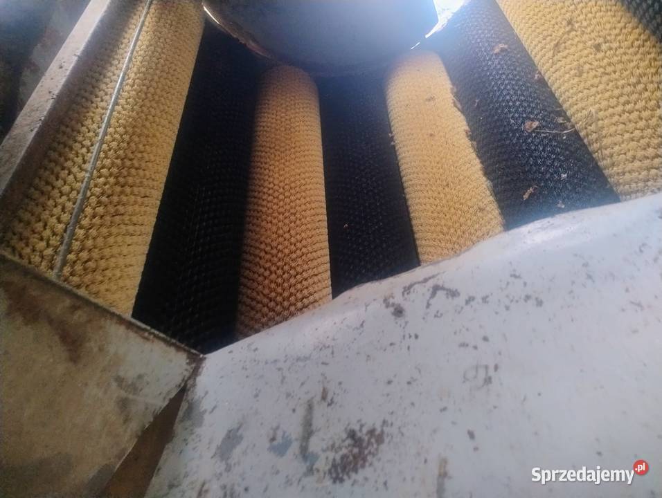 Szczotkarka do warzyw Marcinkowice