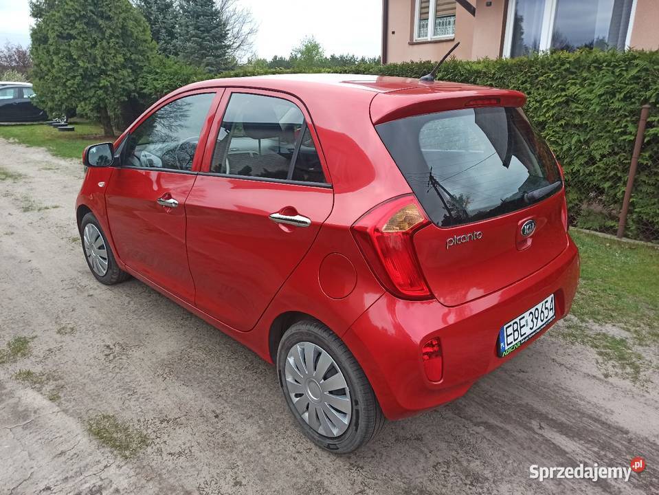 Kia Picanto Zadbany bezwypadkowy wspomaganie kierownicy Bełchatów