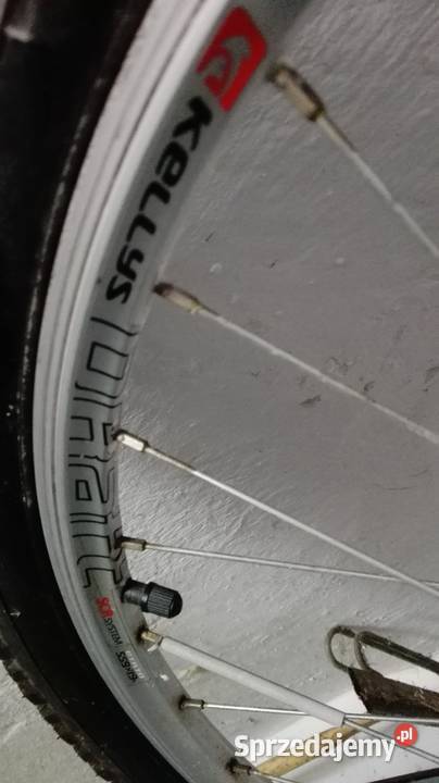 Rower Górski Alpina Eco