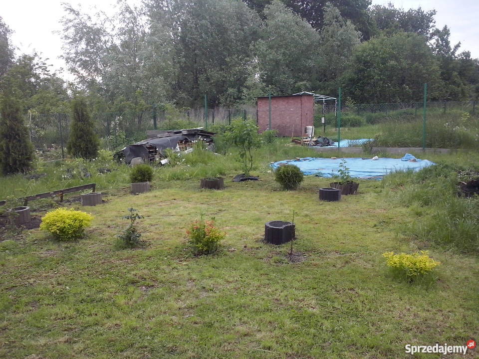 ogródek działkowy Chorzów sprzedam